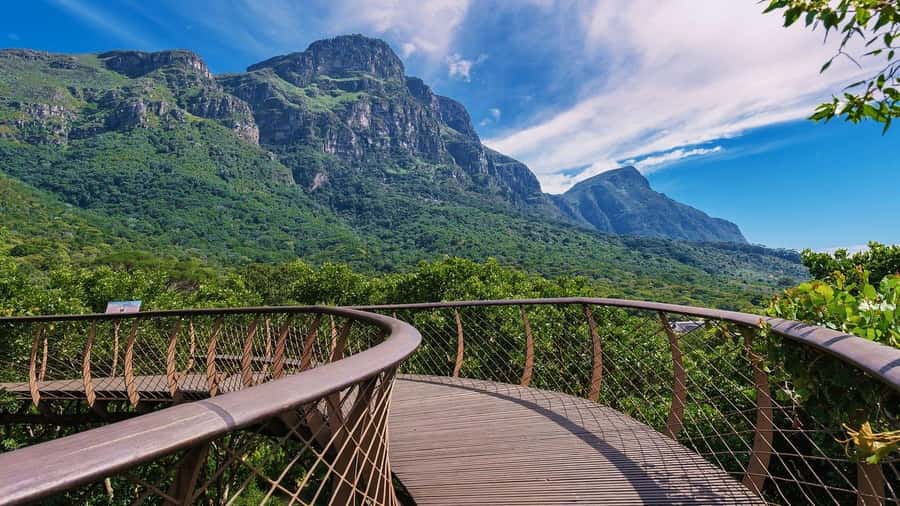 Explore Table Mountain, Kirstenbosch, & Constantia wineries. - Why this private Cape Town day works