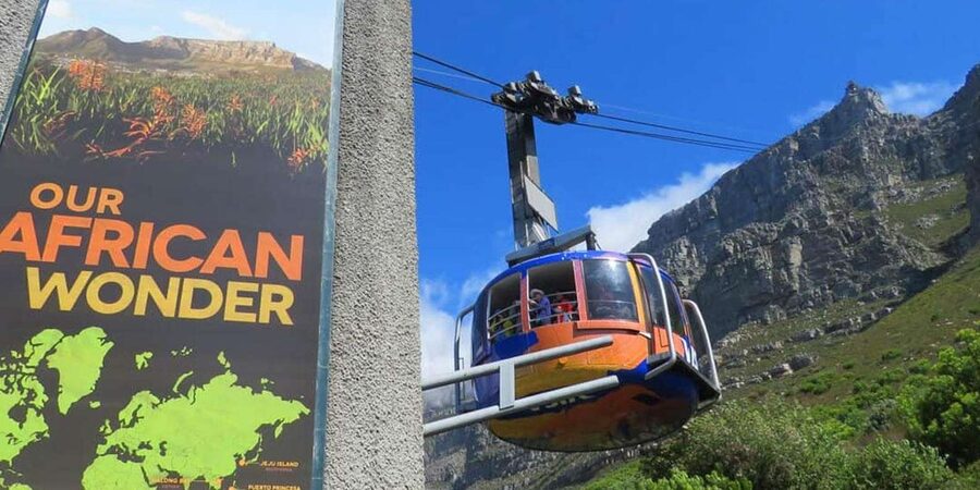 Explore Table Mountain, Kirstenbosch, & Constantia wineries. - Walking through Kirstenbosch National Botanical Garden
