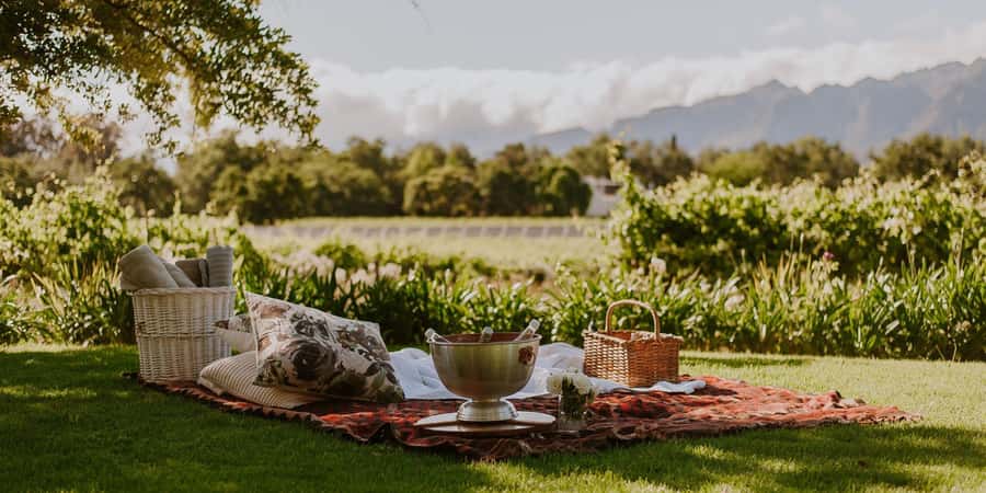 Explore Table Mountain, Kirstenbosch, & Constantia wineries. - How much the $155 price really covers
