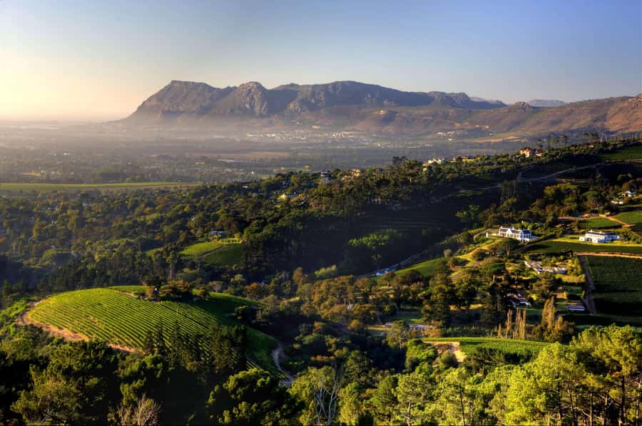 Explore Table Mountain, Kirstenbosch, & Constantia wineries. - The practical limits of the day
