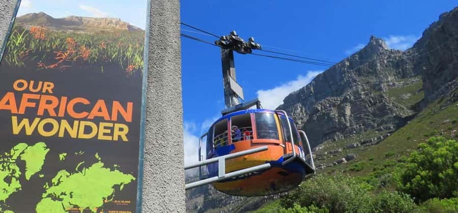 Explore Table Mountain, Kirstenbosch, & Constantia wineries. - Who should book this experience