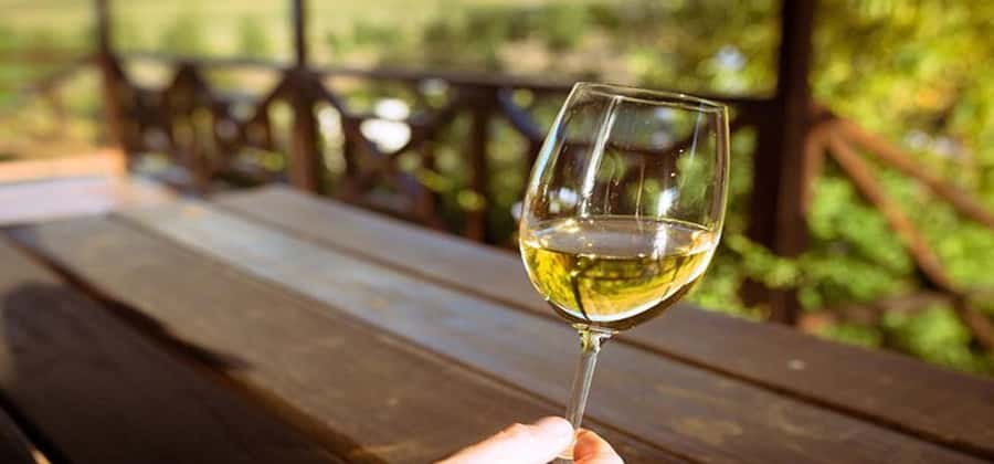 Explore Table Mountain, Kirstenbosch, & Constantia wineries. - Starting in Cape Town with hotel pickup