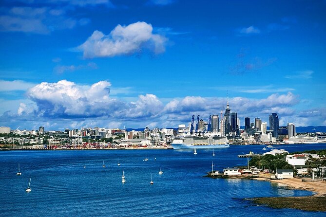 Explore West Auckland with Winery - The guide can shape the whole experience