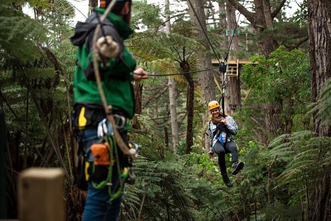 Explore West Auckland with Winery - Who should book this West Auckland outing?
