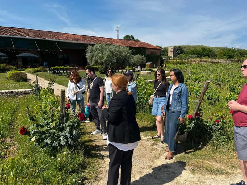 Familia Torres Winery: Gastronomic Tapas & Wine Experience - Should you book the Familia Torres experience?