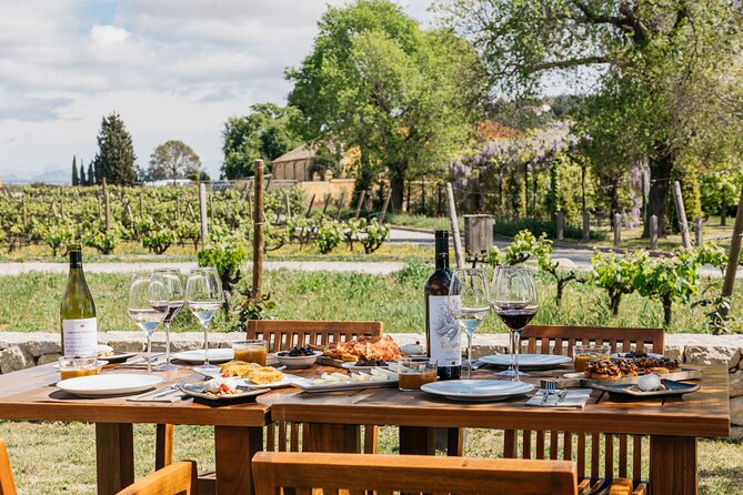 Familia Torres Winery: Gastronomic Tapas & Wine Experience - From Barcelona to the Penedès in about 50 minutes