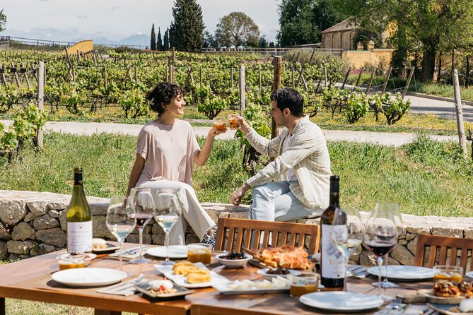 Familia Torres Winery: Gastronomic Tapas & Wine Experience - Four wines, four different ways to taste