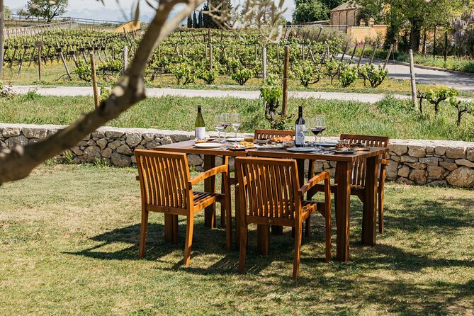 Familia Torres Winery: Gastronomic Tapas & Wine Experience - Practical details that can make or break the day