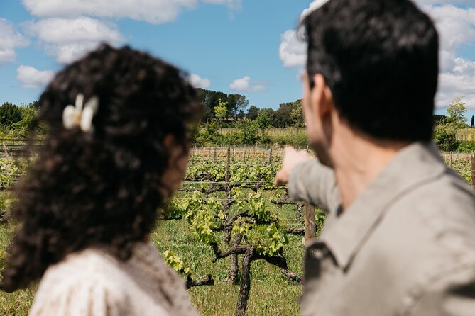 Familia Torres Winery: Gastronomic Tapas & Wine Experience - Should you book Familia Torres?