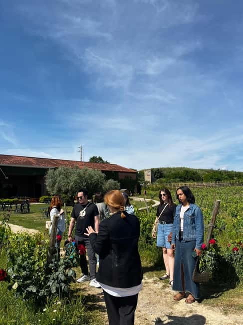 Familia Torres Winery: Gastronomic Tapas & Wine Experience - Who will enjoy this outing most?