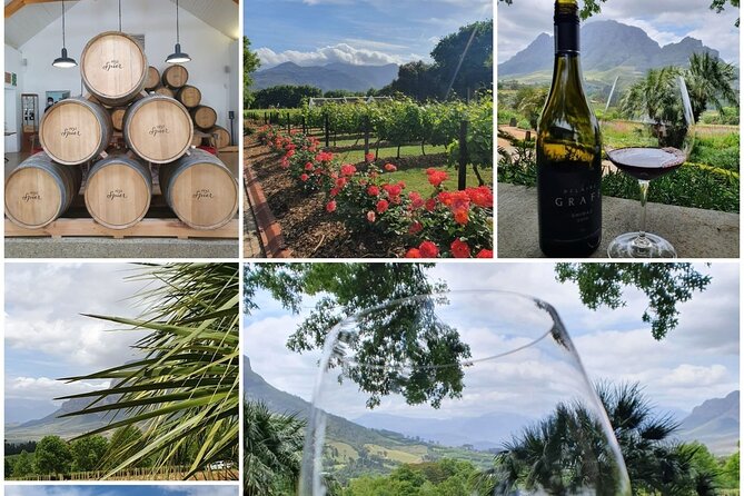 Family Winelands & Wildlife: Stellenbosch and Paarl - Vergenoegd ends with wine and the Duck Run