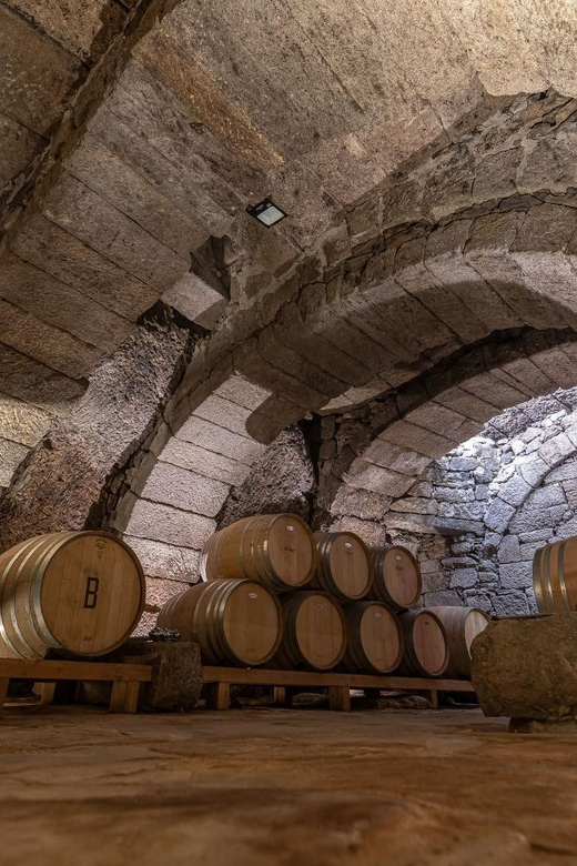 Fermoselle; Visit to the Historical Winery with Wine Tasting - Price, Timing, and Practical Planning