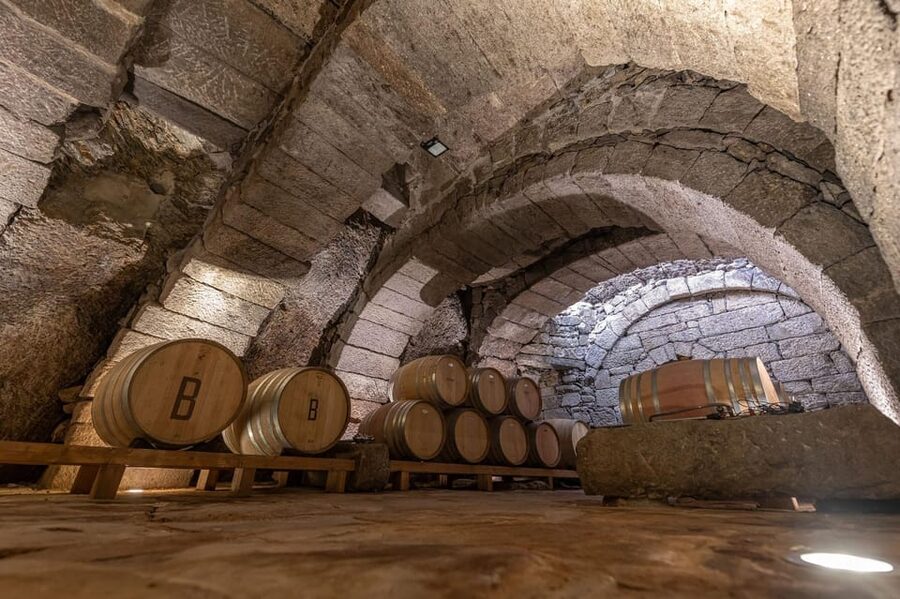 Fermoselle; Visit to the Historical Winery with Wine Tasting - Three Wines With Very Different Personalities