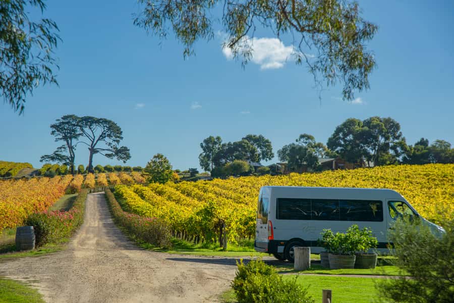 Fleurieu Peninsular: McLaren Vale Winery Experience - Leaving Adelaide for Gulf St Vincent views