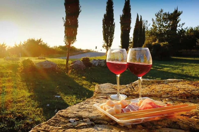Florence: Chianti Vineyards Tour with Wine Tasting & Dinner - From Florence to the hills of Chianti