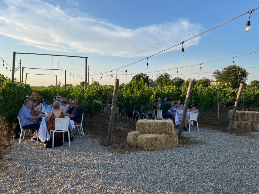 Florence: Chianti Vineyards Tour with Wine Tasting & Dinner - FAQ