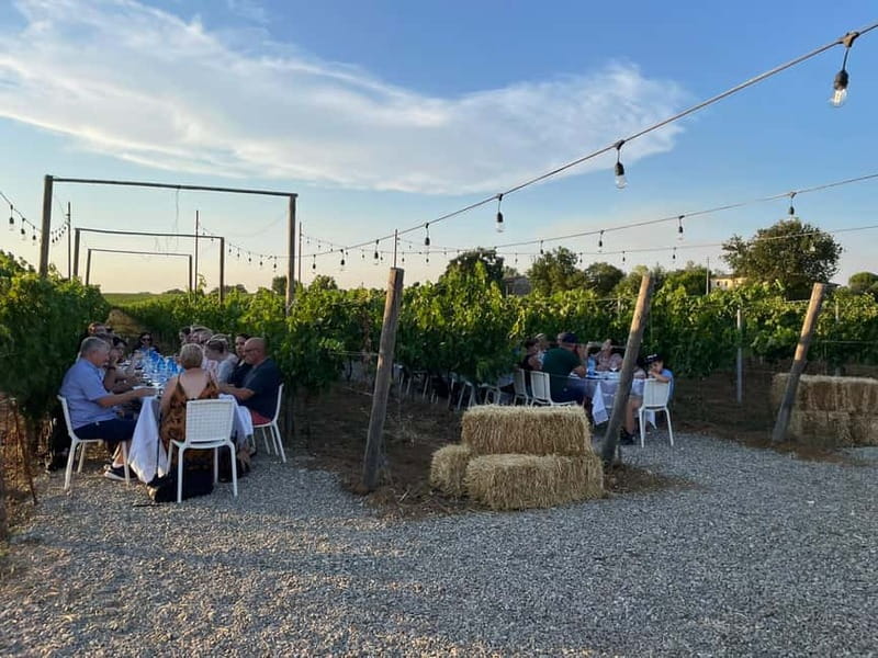 Florence: Chianti Vineyards Tour with Wine Tasting & Dinner - The group size and social side