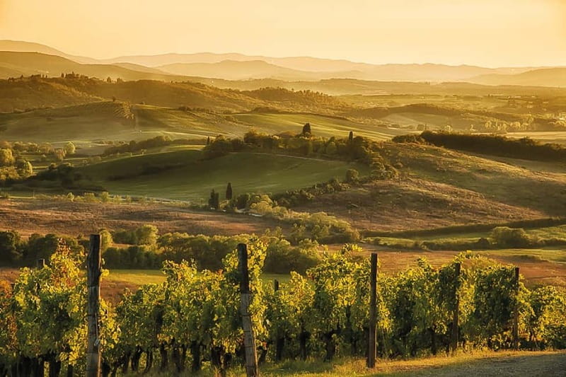 Florence: Chianti Vineyards Tour with Wine Tasting & Dinner - Weather, comfort, and practical limits
