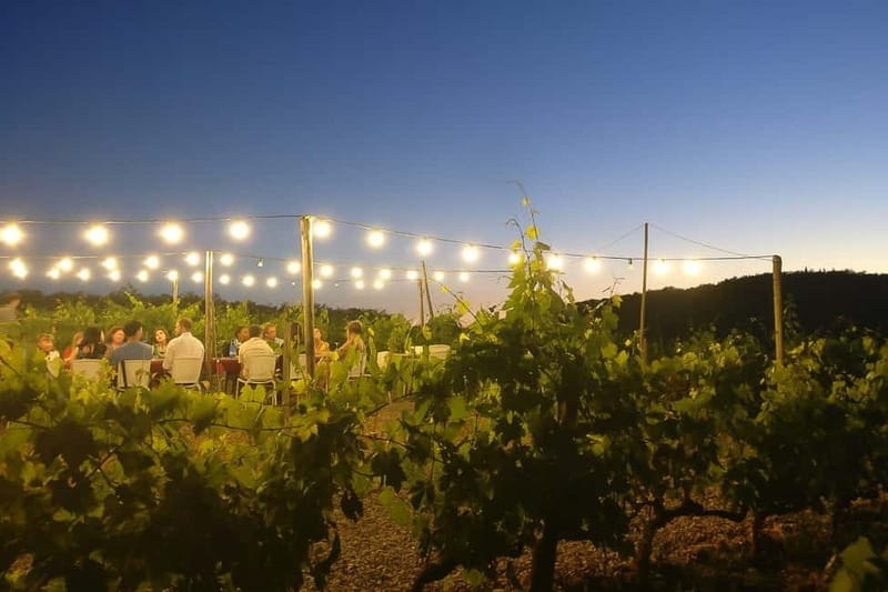 Florence: Chianti Vineyards Tour with Wine Tasting & Dinner - Should you book it?