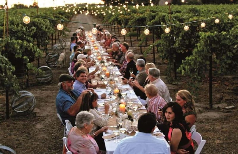 Florence: Chianti Vineyards Tour with Wine Tasting & Dinner - Tasting Chianti with local food