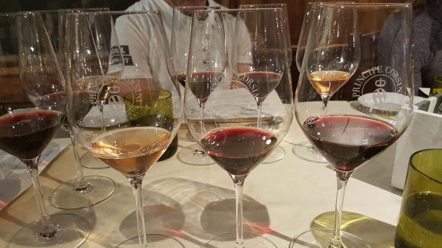 Florence: Chianti Wine Tour with 3 Wineries & Tuscan Lunch - The guide can make or break the day