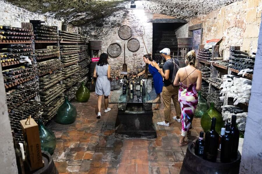 Florence: Chianti Wine Tour with 3 Wineries & Tuscan Lunch - Transport, timing, and what the day feels like