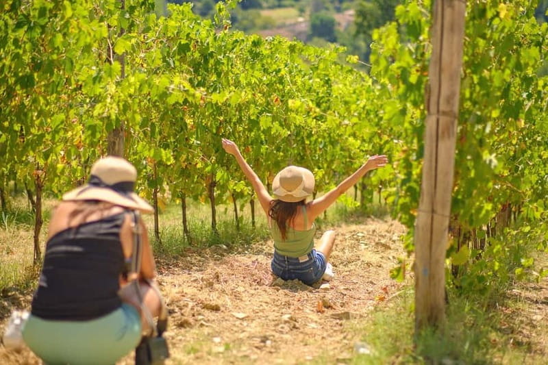 Florence: Chianti Wineries Tour with Wine Tasting - Key points to know before you book