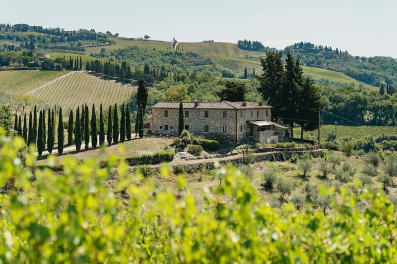 Florence: Chianti Wineries Tour with Wine Tasting - Between the wineries, time matters