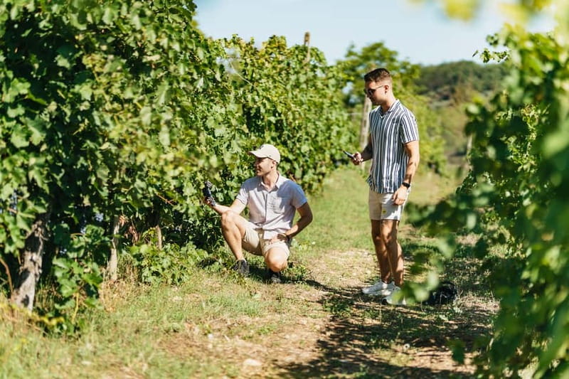 Florence: Chianti Wineries Tour with Wine Tasting - The guides add more than wine facts