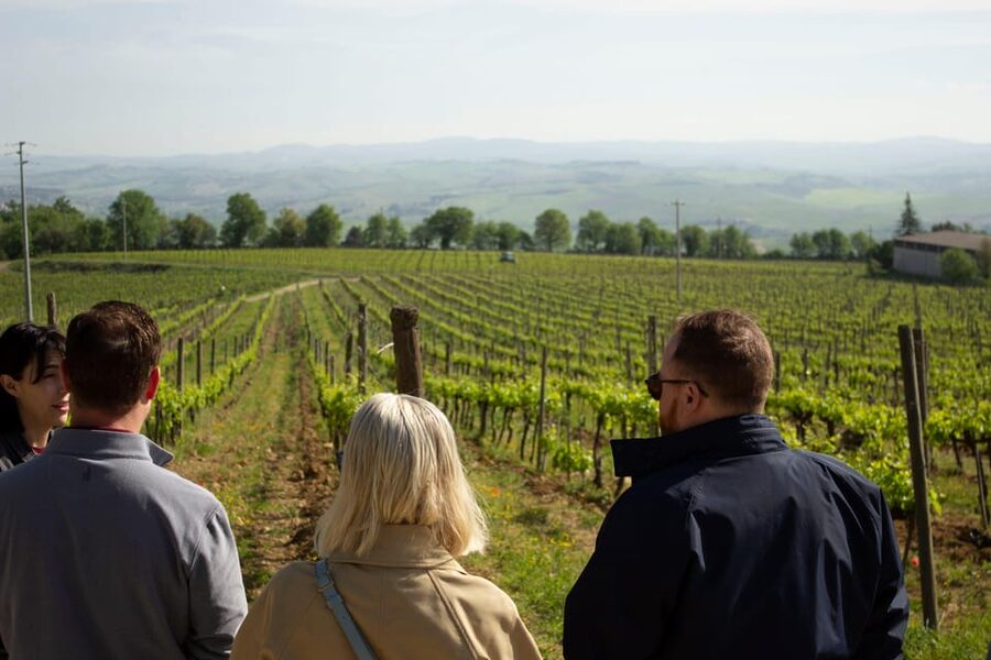 Florence: day trip to Montalcino with 2 Wineries and Lunch - Judging the $293.41 price