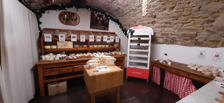 Florence: day trip to Montalcino with 2 Wineries and Lunch - Who will enjoy this day most