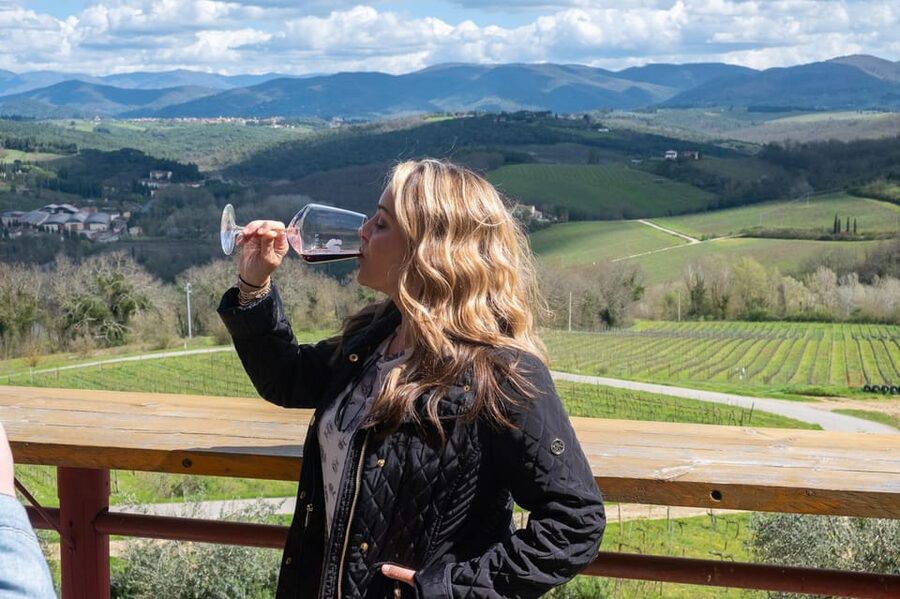 Florence: day trip to Montalcino with 2 Wineries and Lunch - The first boutique winery and the making of Brunello