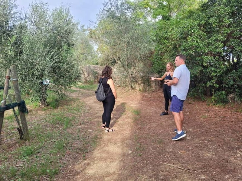 Florence: E-Bike Tour in Tuscany with Winery & Wine Tasting - Who should book this e-bike tour