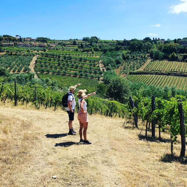 Florence: Hiking Tuscany & Chianti wine 3 wineries and lunch - Key points to know before booking