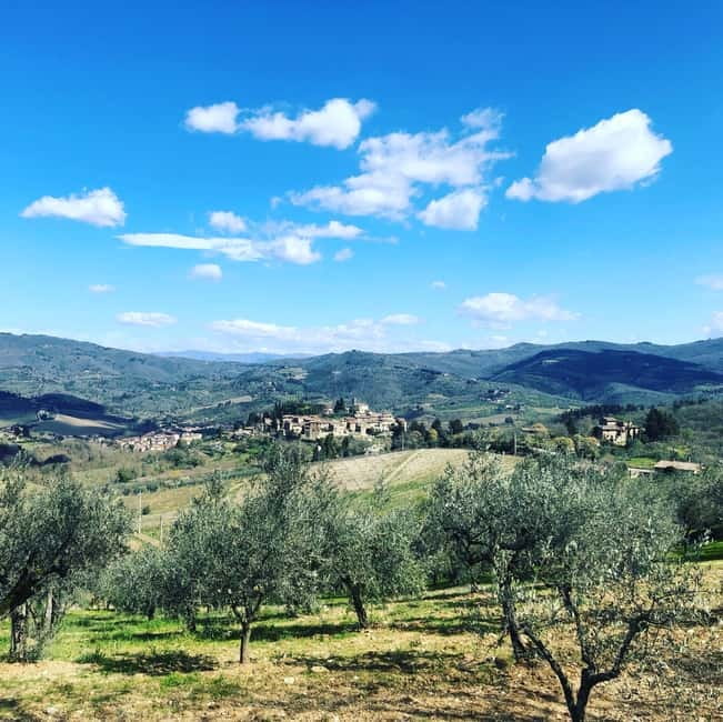 Florence: Hiking Tuscany & Chianti wine 3 wineries and lunch - Practical value, clothing, and timing