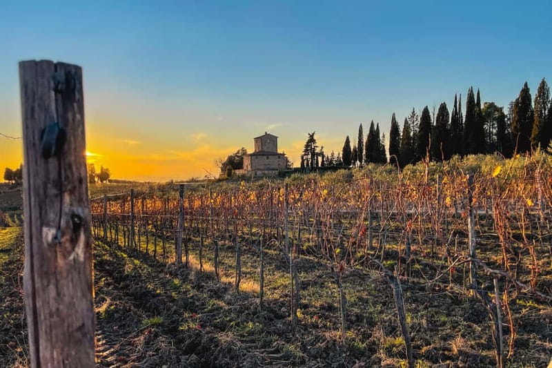 Florence: Hiking Tuscany & Chianti wine 3 wineries and lunch - Why this Chianti day feels different