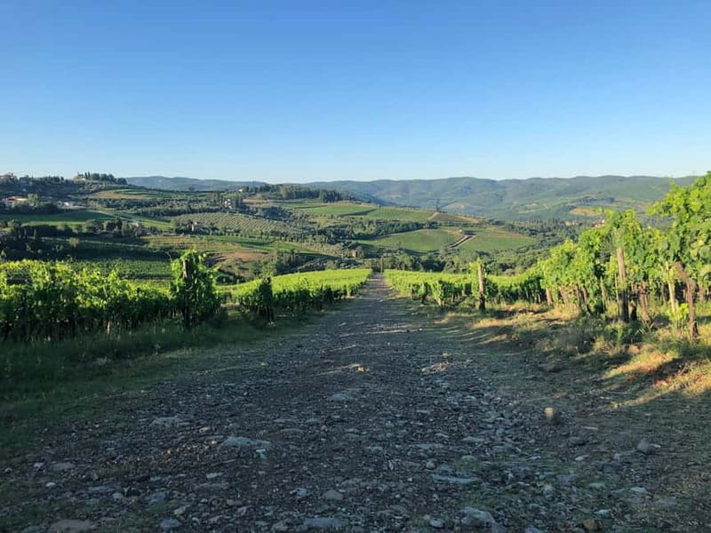 Florence: Hiking Tuscany & Chianti wine 3 wineries and lunch - What the guide adds to the day