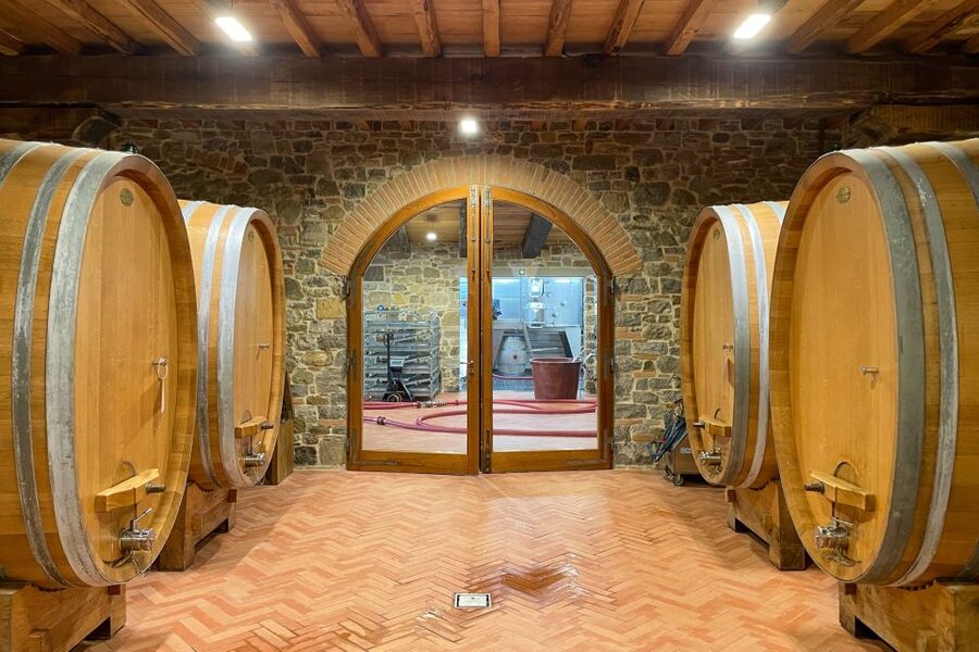 Florence: Hiking Tuscany & Chianti wine 3 wineries and lunch - Who should book this experience
