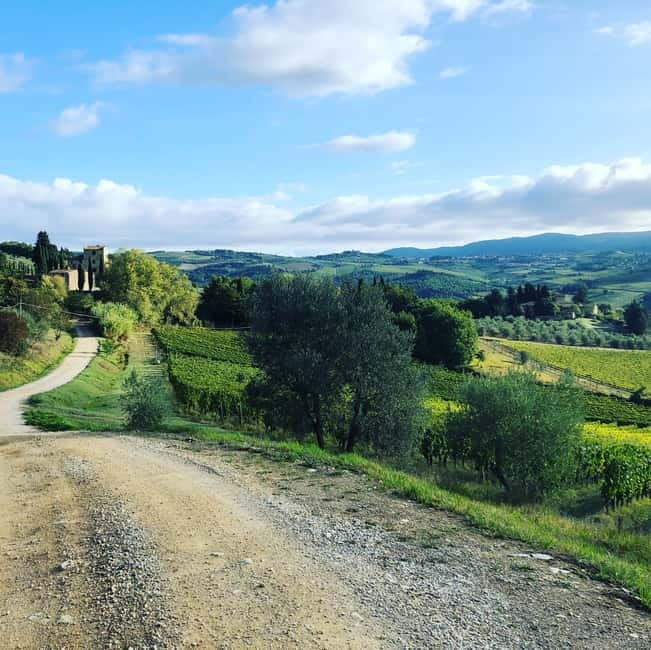 Florence: Hiking Tuscany & Chianti wine 3 wineries and lunch - From Florence to the hills around Panzano