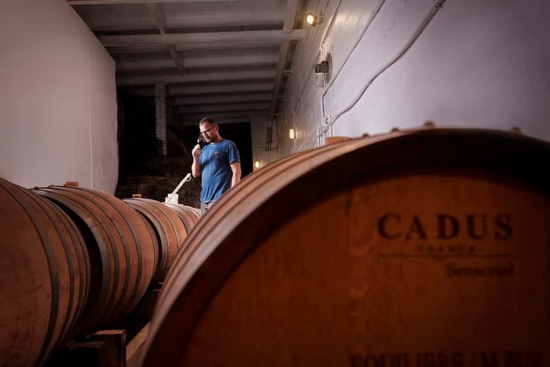 Florence Hills : Winery Tour 18 km from Florence - Who will enjoy this visit most?