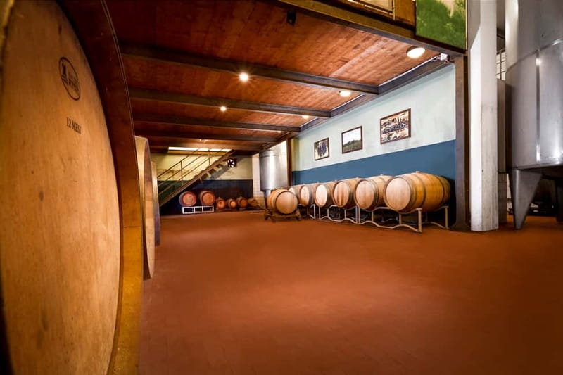Florence Hills : Winery Tour 18 km from Florence - What organic means at this estate