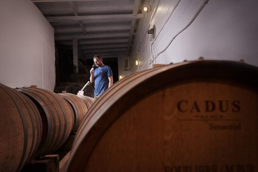 Florence Hills : Winery Tour 18 km from Florence - Inside the cellar and at the tasting table