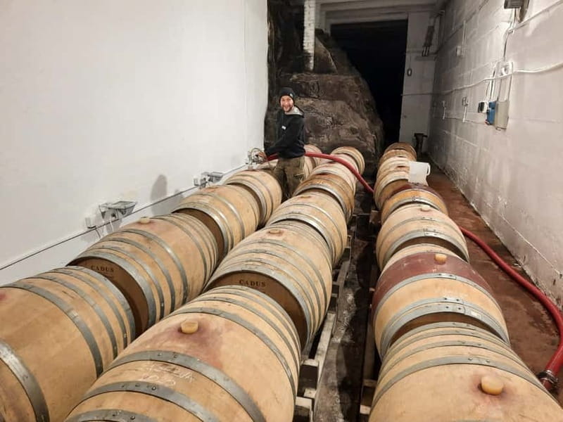Florence Hills : Winery Tour 18 km from Florence - The olive oil deserves equal attention