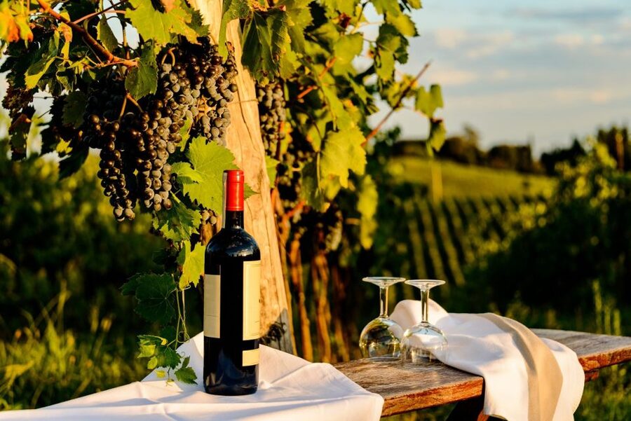 Florence: Private full day tour to Chianti Wine Region - Key points to know before booking
