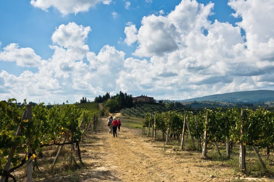 Florence: Private full day tour to Chianti Wine Region - Greve: Chianti’s natural first stop