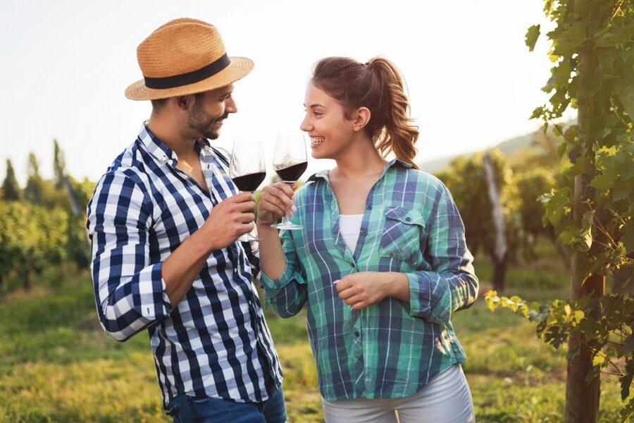 Florence: Private full day tour to Chianti Wine Region - Choosing a Chianti Classico winery