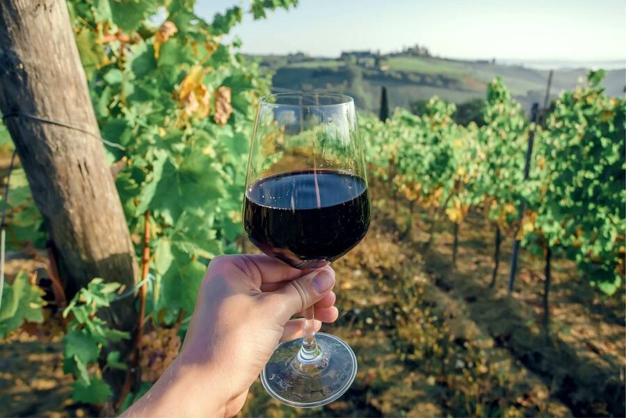 Florence: Private full day tour to Chianti Wine Region - Comfort, access, and practical planning