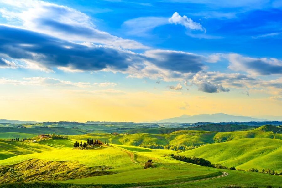 Florence: Private full day tour to Chianti Wine Region - Who should book this Chianti day?