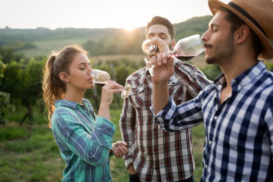 Florence: Private full day tour to Chianti Wine Region - Leaving Florence for the Chianti hills