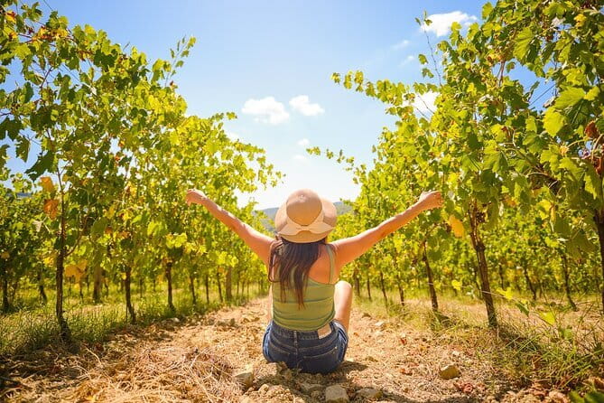 Florence: Private Half-Day Chianti Tour and Wine Tasting Optional - Greve in Chianti, the tour’s most independent stop